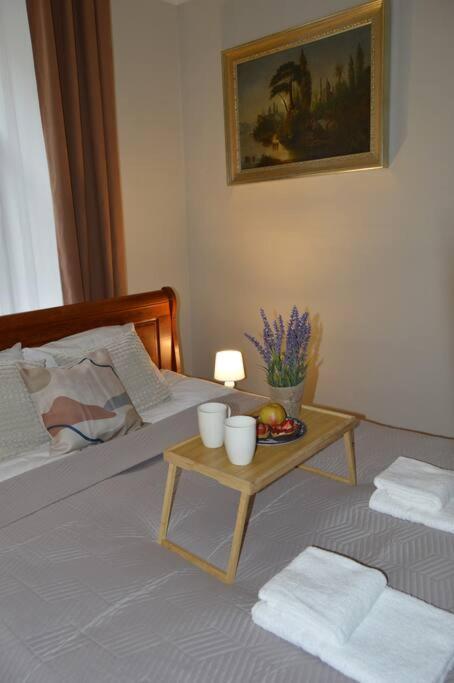 Unique Spacious Classic 3 Bedroom Midtown Apartment ! Billiard Room ! Riga Eksteriør billede